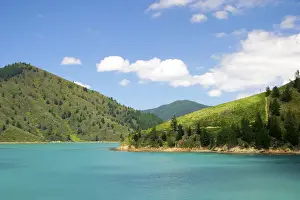 DDE-90026789