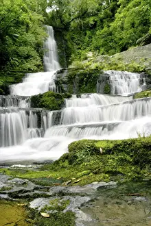 Catlins Prints: DDE-90026801
