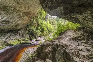 Cave Prints: DDE-90026854