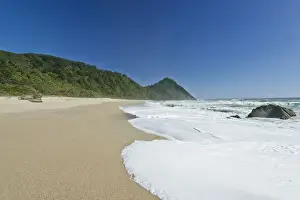 Tasman Prints: DDE-90026876