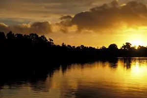 Zealand Prints: DDE-90026929