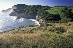 Zealand Prints: DDE-90026935
