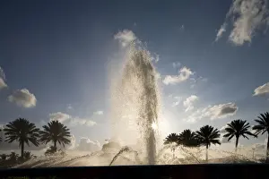 Fountain Prints: DDE-90026974