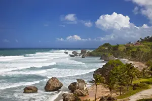 Paradise Prints: DDE-90026999