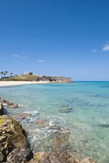 Bermuda Prints: DDE-90027007