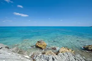 Bermuda Prints: DDE-90027008