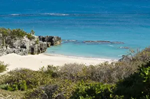 Bermuda Prints: DDE-90027010