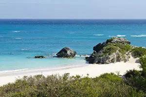 Bermuda Prints: DDE-90027020