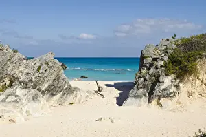 Bermuda Prints: DDE-90027021