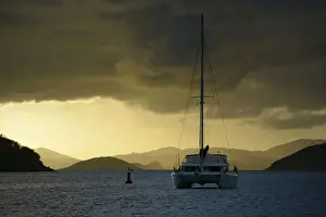 Tortola Prints: DDE-90027110