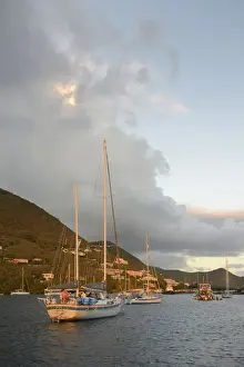 Tortola Prints: DDE-90027113