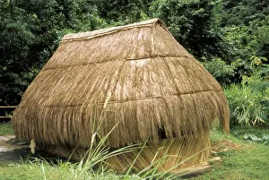 Thatched Prints: DDE-90027215