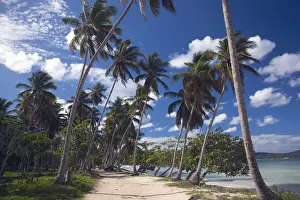 Playa Prints: DDE-90027241