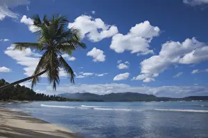 Playa Prints: DDE-90027242