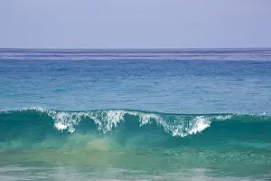 Playa Prints: DDE-90027245