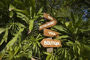 Signs Prints: DDE-90027278