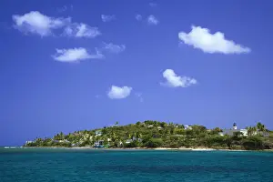 Puerto Prints: DDE-90027290