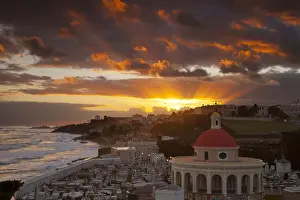 Puerto Prints: DDE-90027295