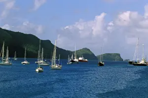 Bequia Prints: DDE-90027351