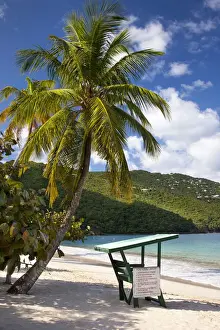 Paradise Prints: DDE-90027386