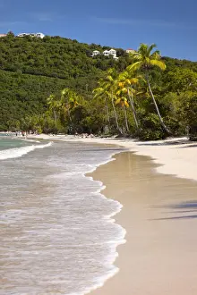 Paradise Prints: DDE-90027389