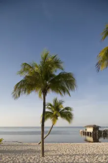 Pier Prints: DDE-90027453