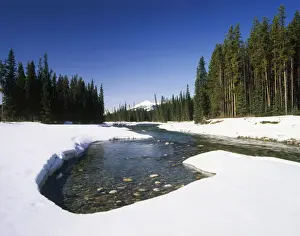 Banff Prints: DDE-90027490