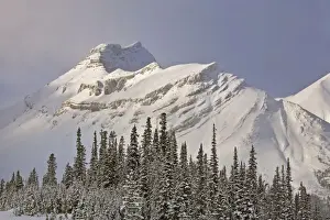 Ridge Prints: DDE-90027498