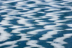 Waterton Prints: DDE-90027522
