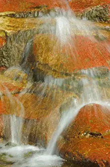 Waterton Prints: DDE-90027524