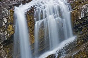 Waterton Prints: DDE-90027532