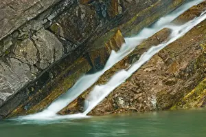 Waterton Prints: DDE-90027533