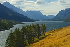 Waterton Prints: DDE-90027548