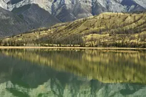 Stillness Prints: DDE-90027552