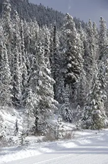 Highway Prints: DDE-90027639