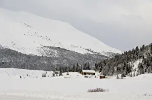 Cabin Prints: DDE-90027640