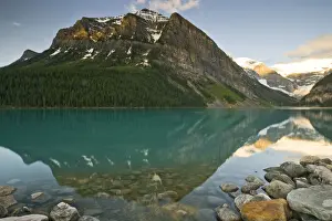Reflected Prints: DDE-90027689