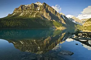 Reflected Prints: DDE-90027691