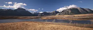 Waterton Prints: DDE-90027730