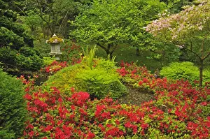Horticulture Prints: DDE-90027765