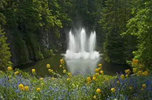 Fountain Prints: DDE-90027770