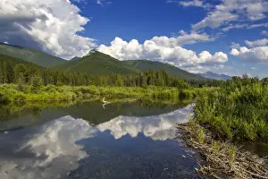 Flathead Prints: DDE-90027787