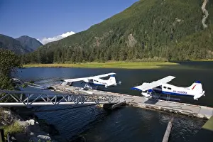 Plane Prints: DDE-90027804