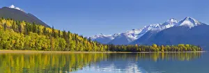 Snowcapped Prints: DDE-90027843