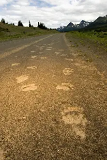 Foot Prints: DDE-90027909