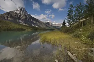 Alberta Prints: DDE-90028019