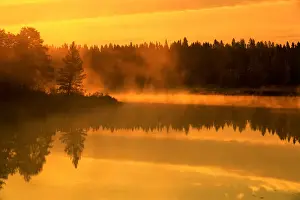 Whiteshell Prints: DDE-90028142