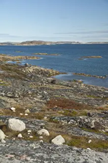 Inuit Prints: DDE-90028336
