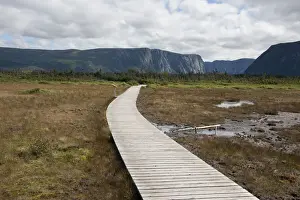 Walkway Prints: DDE-90028342