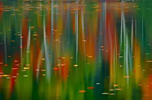 Reflected Prints: DDE-90028386
